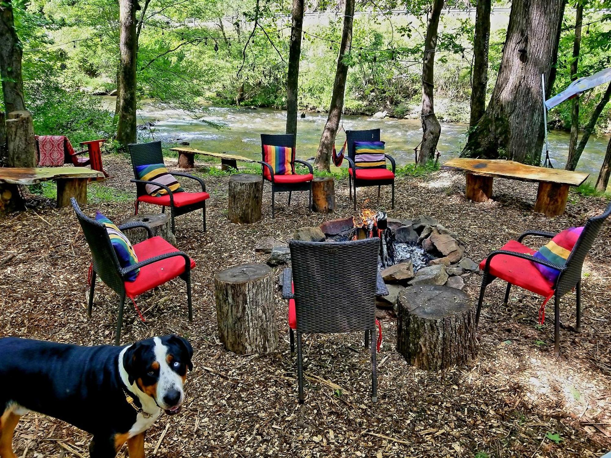 Bear Creek Lodge And Cabins In Helen Ga - Pet Friendly, River On Property, Walking Distance To Downtown Helen Exterior foto