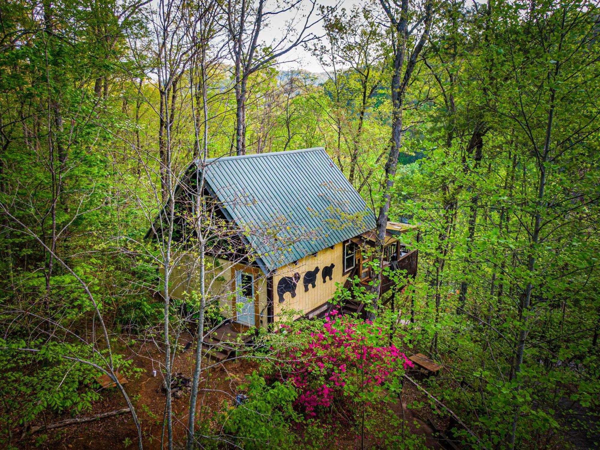 Bear Creek Lodge And Cabins In Helen Ga - Pet Friendly, River On Property, Walking Distance To Downtown Helen Exterior foto